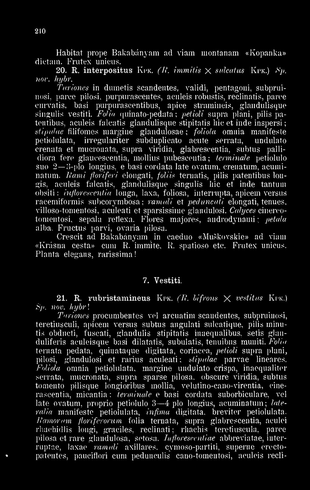 Turiones in dumetis scandentes, validi, pentagoni, subpruinosi, parce pilosi, purpurascentes, aculeis robustis, reclinatis, parce curvatis, basi purpurascentibus, apice stramiueis, glandulisque
