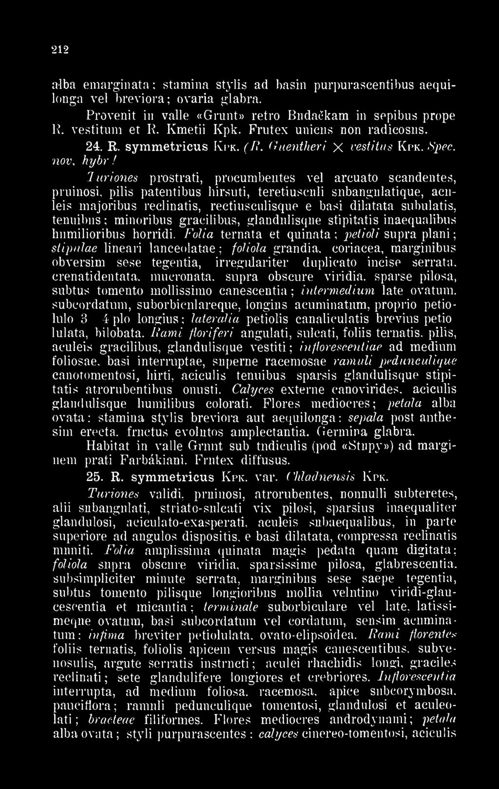 luriones prostrati, procumbentes vei arcuato scandentes, pruinosi, pilis patentibus hlrsuti, teretiusculi subangulatique, aculeis majoribus reclinatis, rectiusculisque e basi dilatata subulatis,