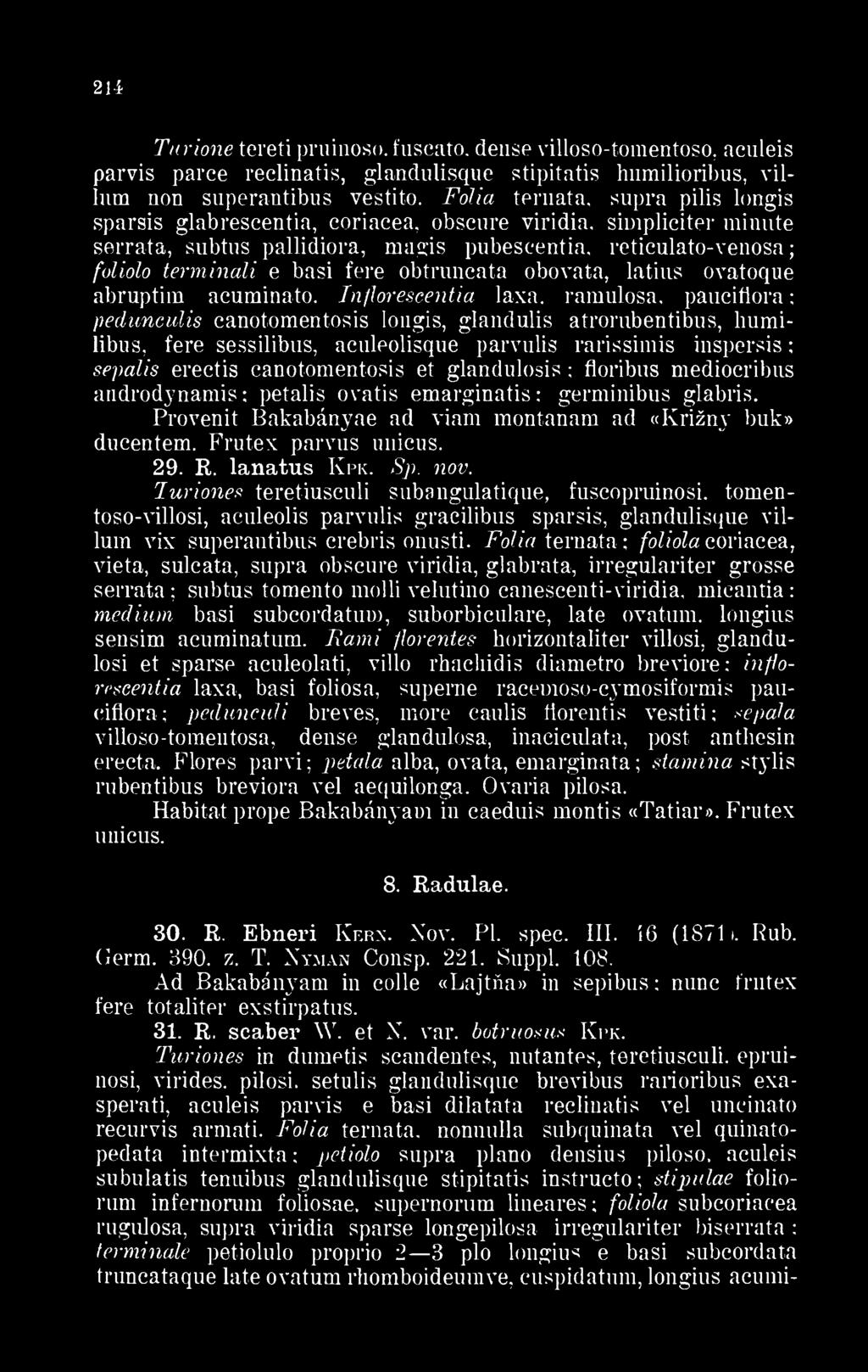 Fólia ternata, supra pilis longis sparsis glabrescentia, coriacea, obseure viridia, simpliciter minute serrata, subtus pallidiora, raagis pubescentia, reticulato-venosa foliolo terminali e basi fere