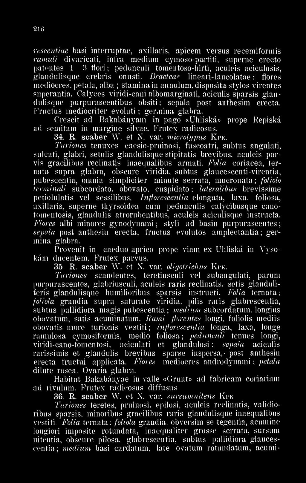 aciculosis, glandulisque crebris onusti. Bractea? lineari- láncolatáé flores mediocres. petala, alba staminain annulum, disposita stylos virentes superantia.