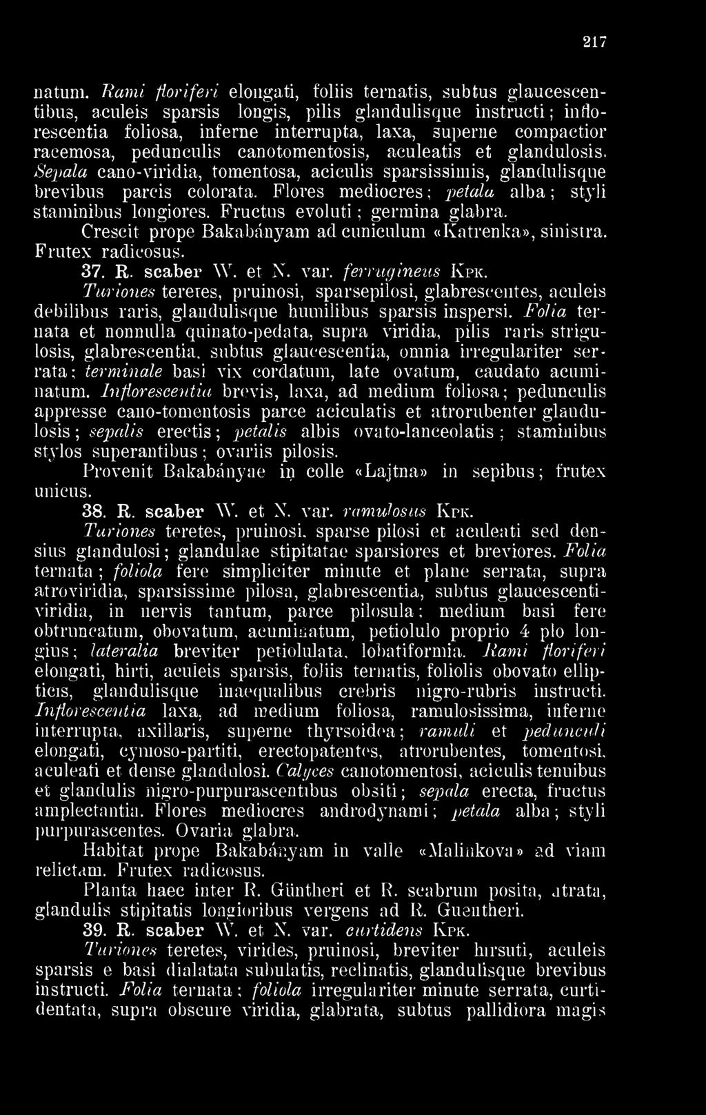pedunculis canotomentosis, aculeatis et glandulosis. Sepala cano-viridia, tomentosa, aciculis sparsissimis, glandulisque brevibus parcis colorata.