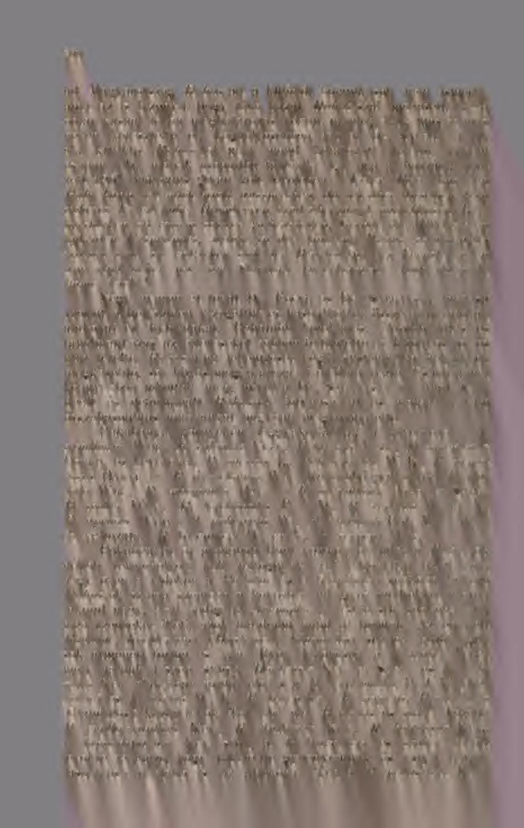 Biodiversity Heritage Library, http://www.biodiversitylibrary.org/ www.zobodat.at 200 ad.