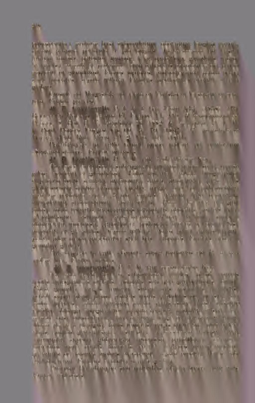 Biodiversity Heritage Library, http://www.biodiversitylibrary.org/ www.zobodat.at pubescentia médium, basi subcordatum, obovatum, longius acuminatum, proprio petiolulo 4 plo longius.