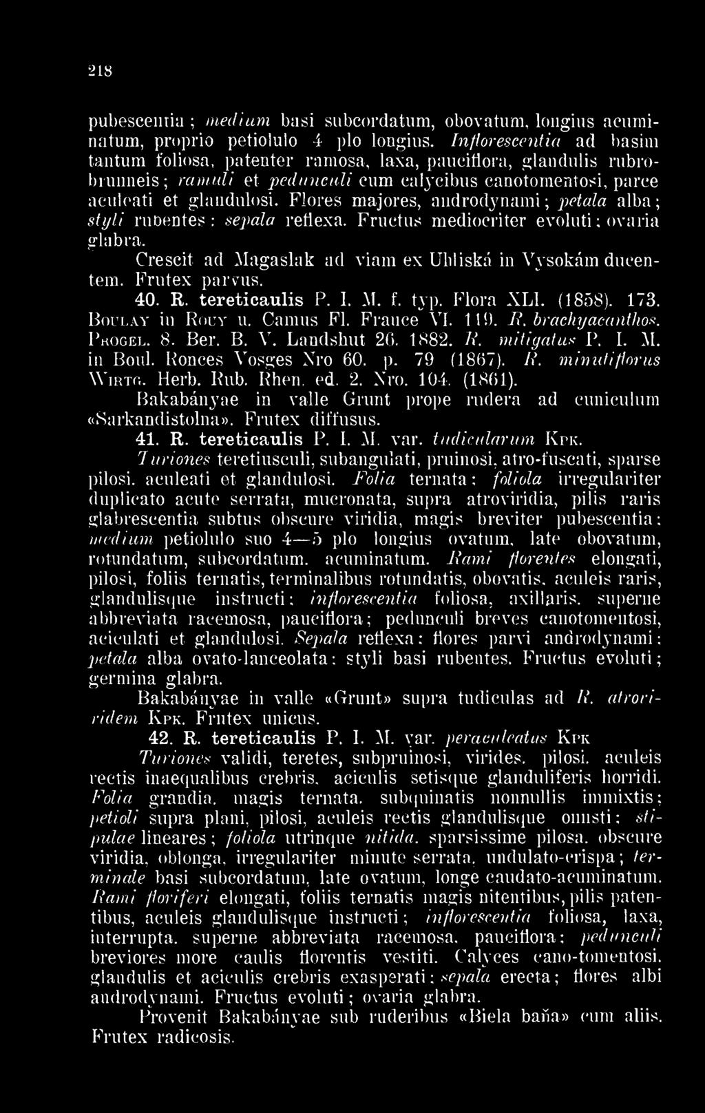 Flores majores, androdynami petala alba styli ruoentes sepala reflexa. Fructus medioeriter evoluti ovaria glabra. Crescit ad Magaslak ad viam ex Ubliská in Vysokám dueentem. Frutex parvus. 40. R.
