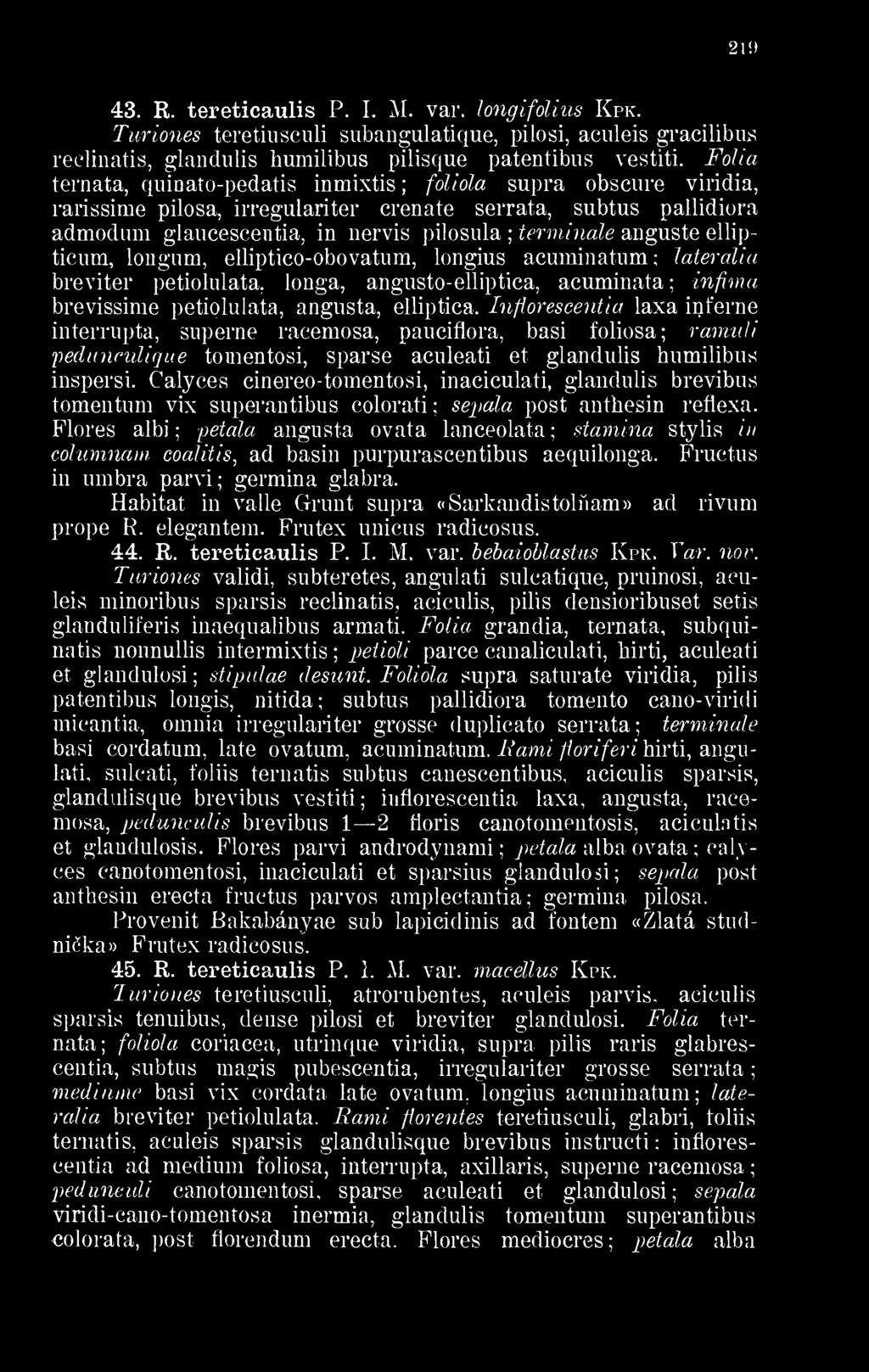 Fólia ternata, quinato-pedatis inmixtis foliola supra obscure viridia, rarissime pilosa, irregulariter crenate serrata, subtus pallidiora admodum glaucescentia, in nervis pilosula terminálé anguste