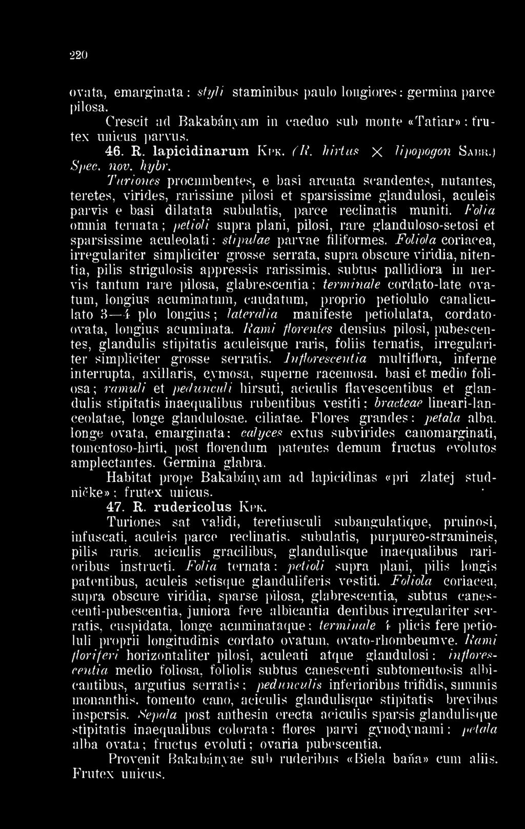 Turiones procumbentes, e basi arcuata seandentes, nutantes, teretes, virides, rarissime pilosi et sparsissime glandulosi, aculeis parvis e basi dilatata subulatis, parce reclinatis muniti.