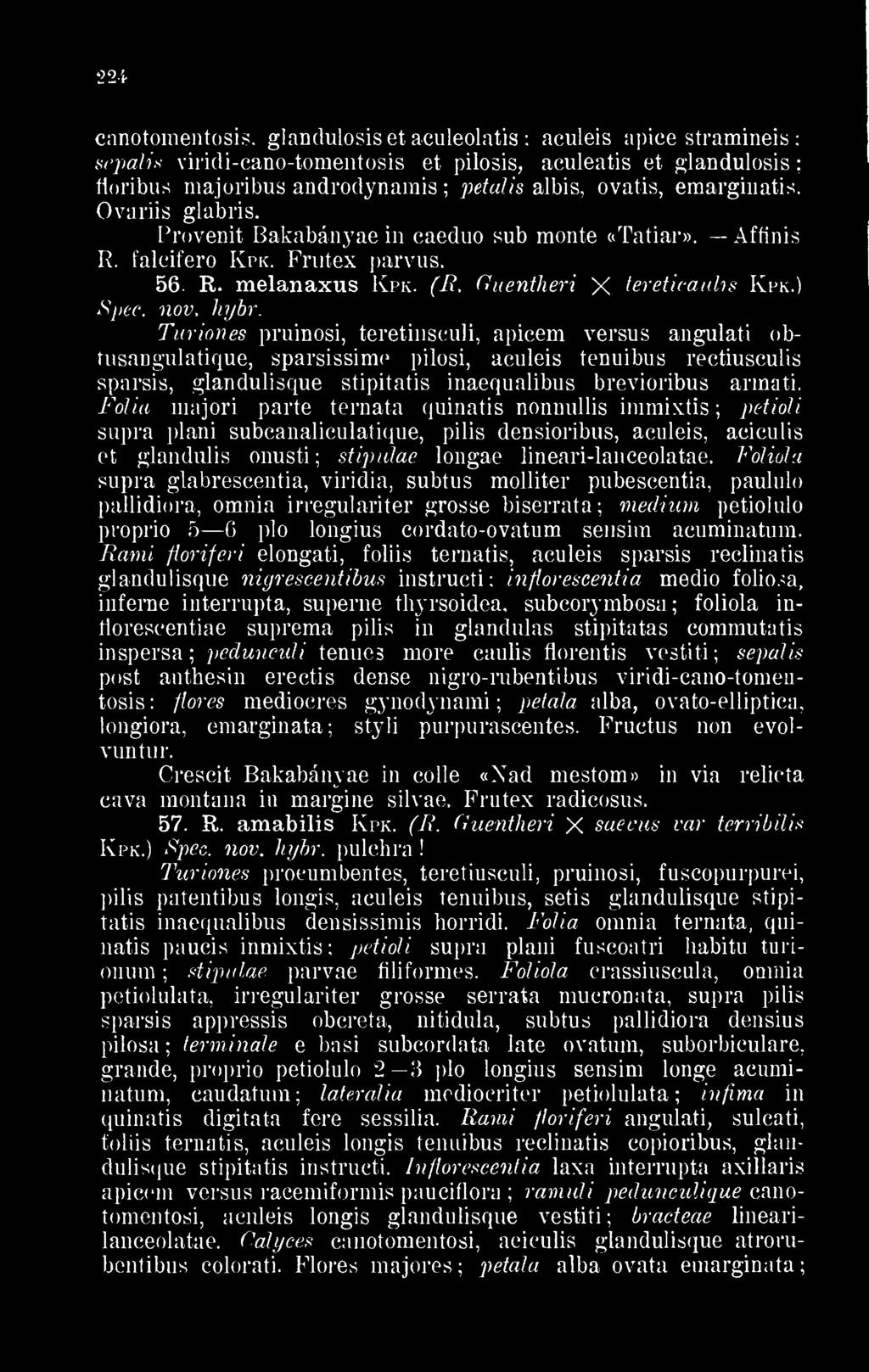 emarginatis. Ovariis glabris. Provenit Bakabányae in caeduo sub monte «Tatiar». Affinis R. falcifero Kpk. Frutex parvus. 56. R. melanaxus Kpk. (R. Guentheri X tereticaulis Kpk.) Spec. nov. hybr.
