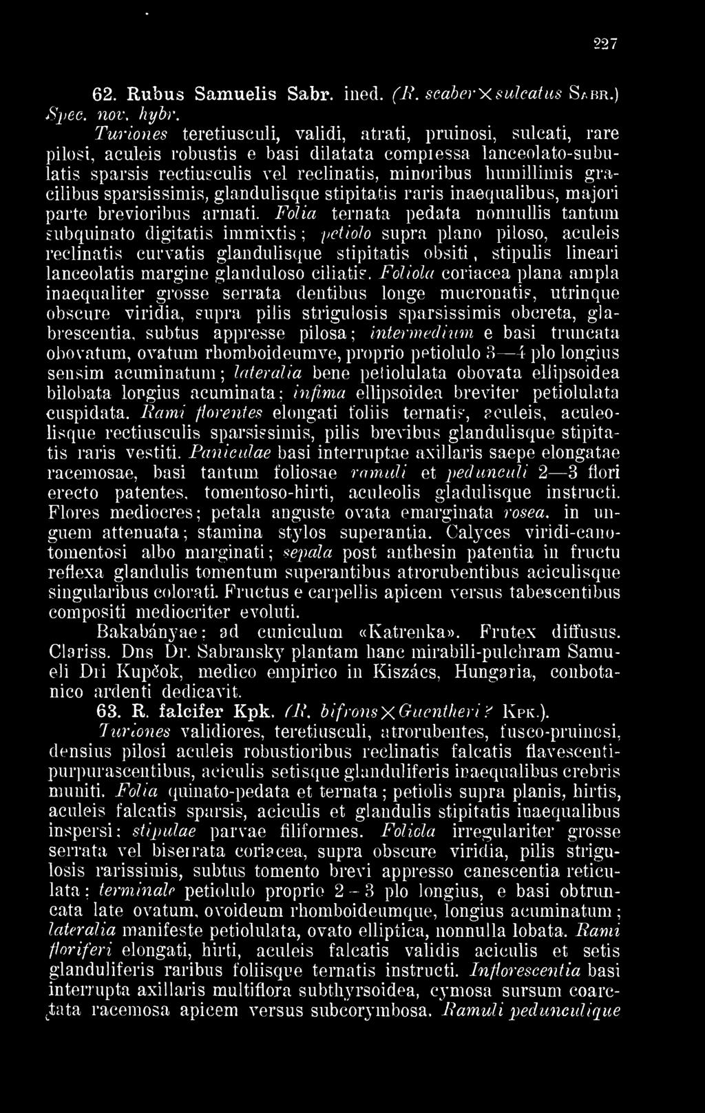 gracilibus sparsissimis, glandulisque stipitatis raris inaequalibus, majori parte brevioribus armati.