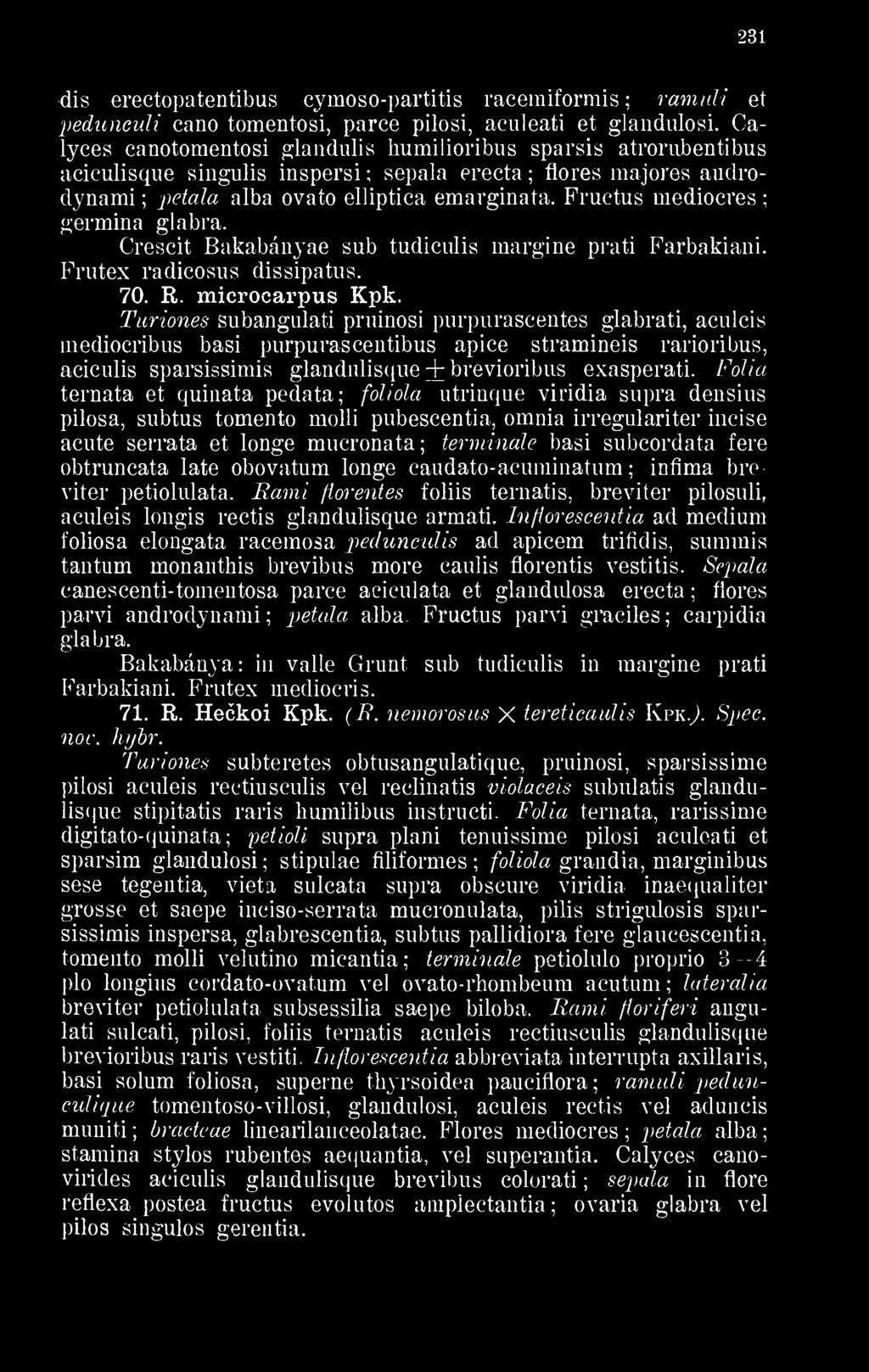 Turiones subangulati pruinosi purpuraseentes glabrati, aculcis raedioeribus basi purpurascentibus apice stramineis rarioribus, aciculis sparsissimis glandulisque + brevioribus exasperati.
