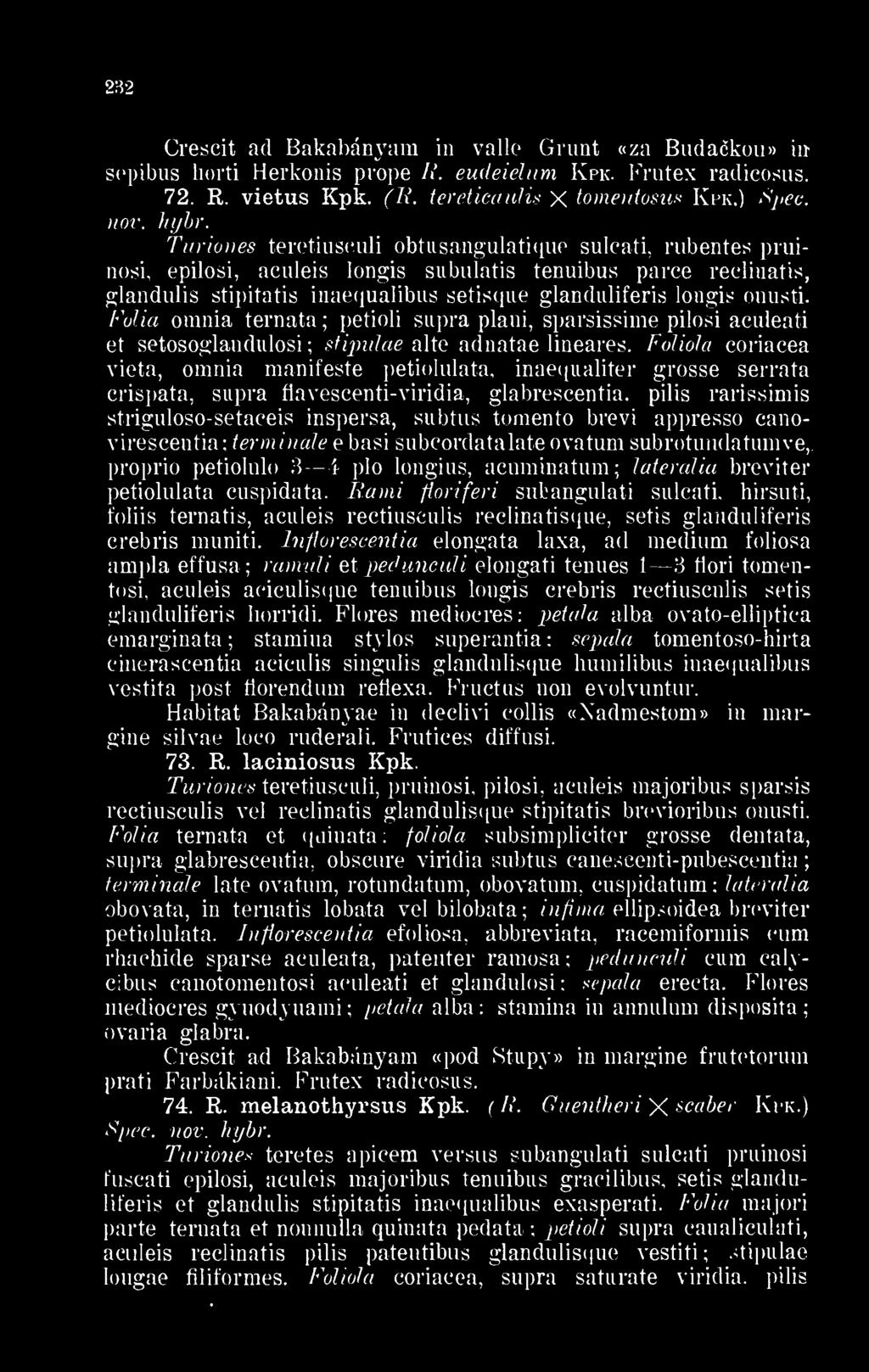 Turiones teretiusculi obtusangulatique sulcati, rubentes pruinosi, epilosi, aculeis longis subulatis tenuibus parce reclinatis, glandulis stipitatis inaequalibus setisque glanduliferis longis onusti.
