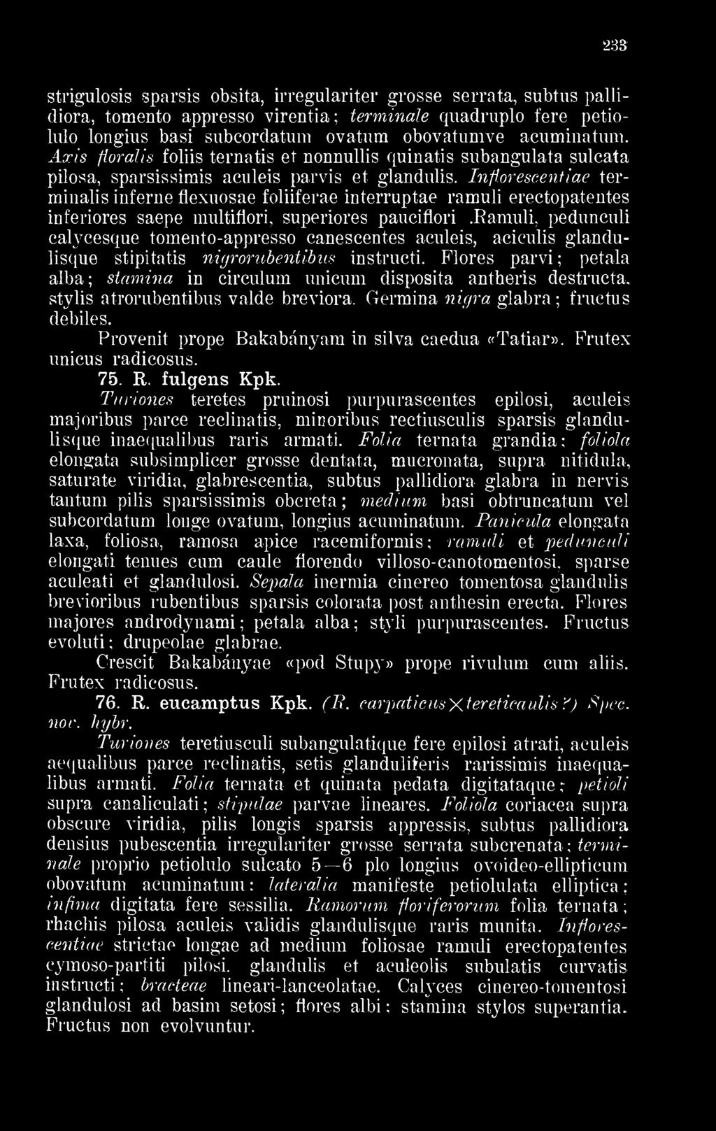 Axis floralis foliis ternatis et nonnullis quinatis subangulata sulcata pilosa, sparsissimis aculeis parvis et glandulis.