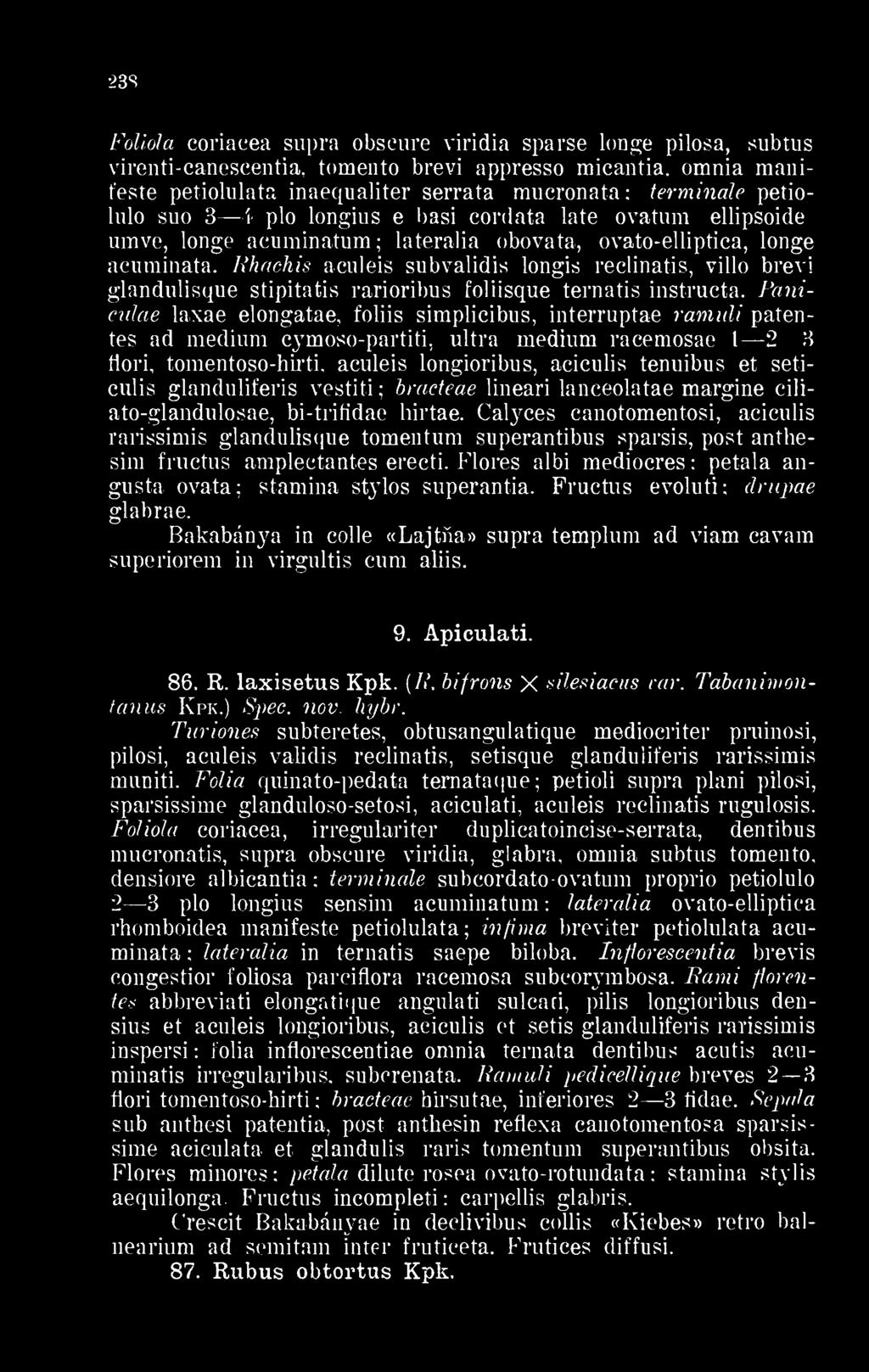 omnia manifeste petiolulata inaequaliter serrata mueronata: terminálé petiolulo suo 3 4 plo longius e basi cordata laté ovatum ellipsoide umve, longe acuminatum lateralia obovata, ovato-elliptica,