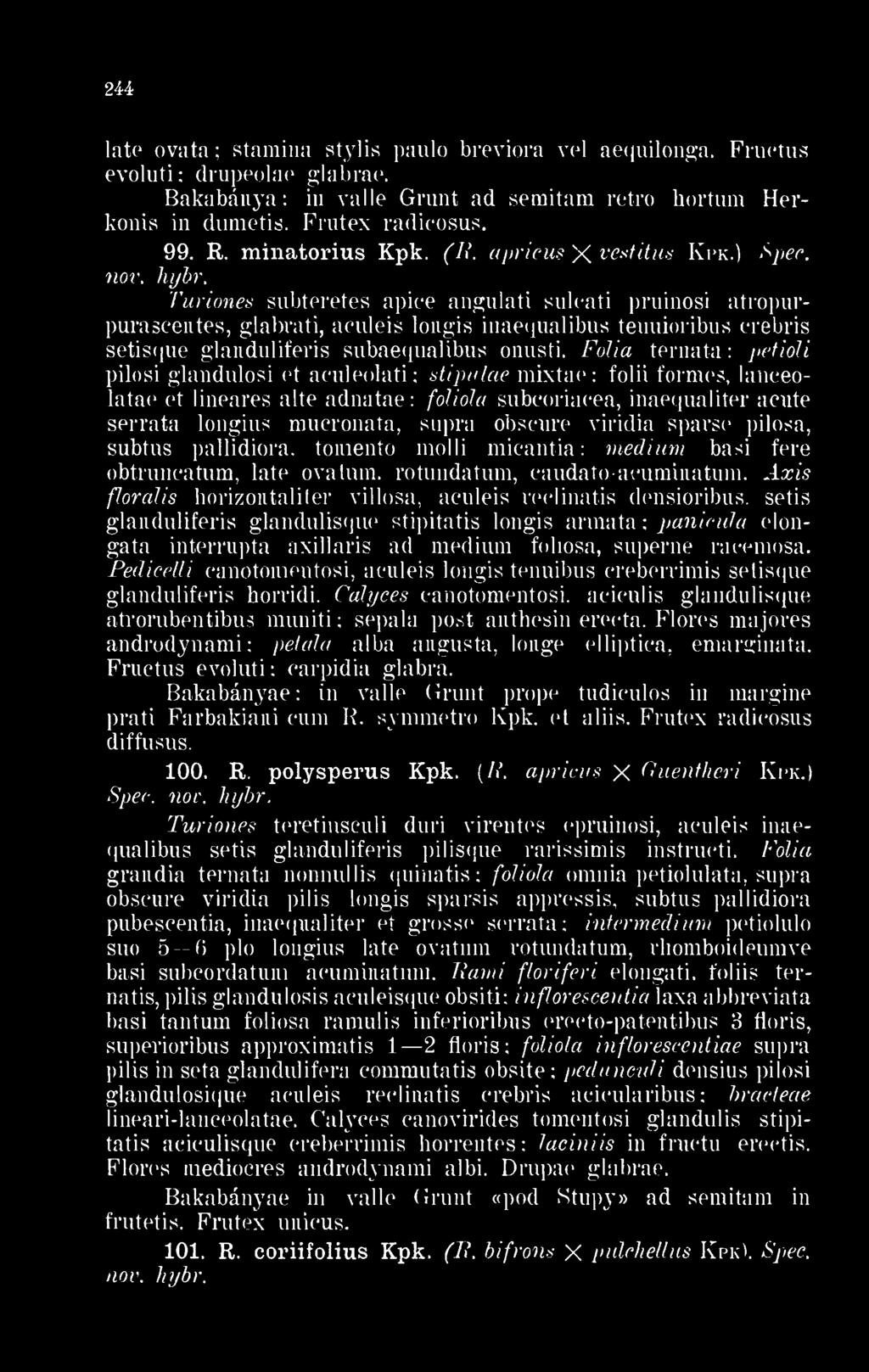 Turiones subteretes apice angulati sulcati pruinosi atropurpurascentes, glabrati, aculeis longis inaequalibus tenuioribus crebris setisque glanduliferis subaequalibus onusti.
