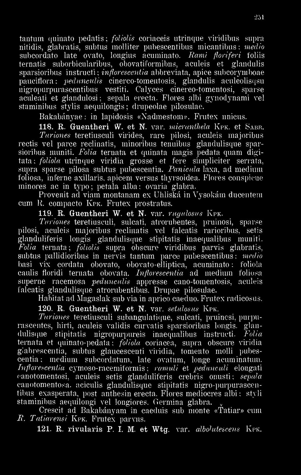 Bami floriferi folts ternatis suborbieularibús, obovatiformibus, aculeis et glandulis sparsioribus instructi infiorescentia abbreviata, apice subcorymboae pauciflora pedunculis cinerco-tomentosis,