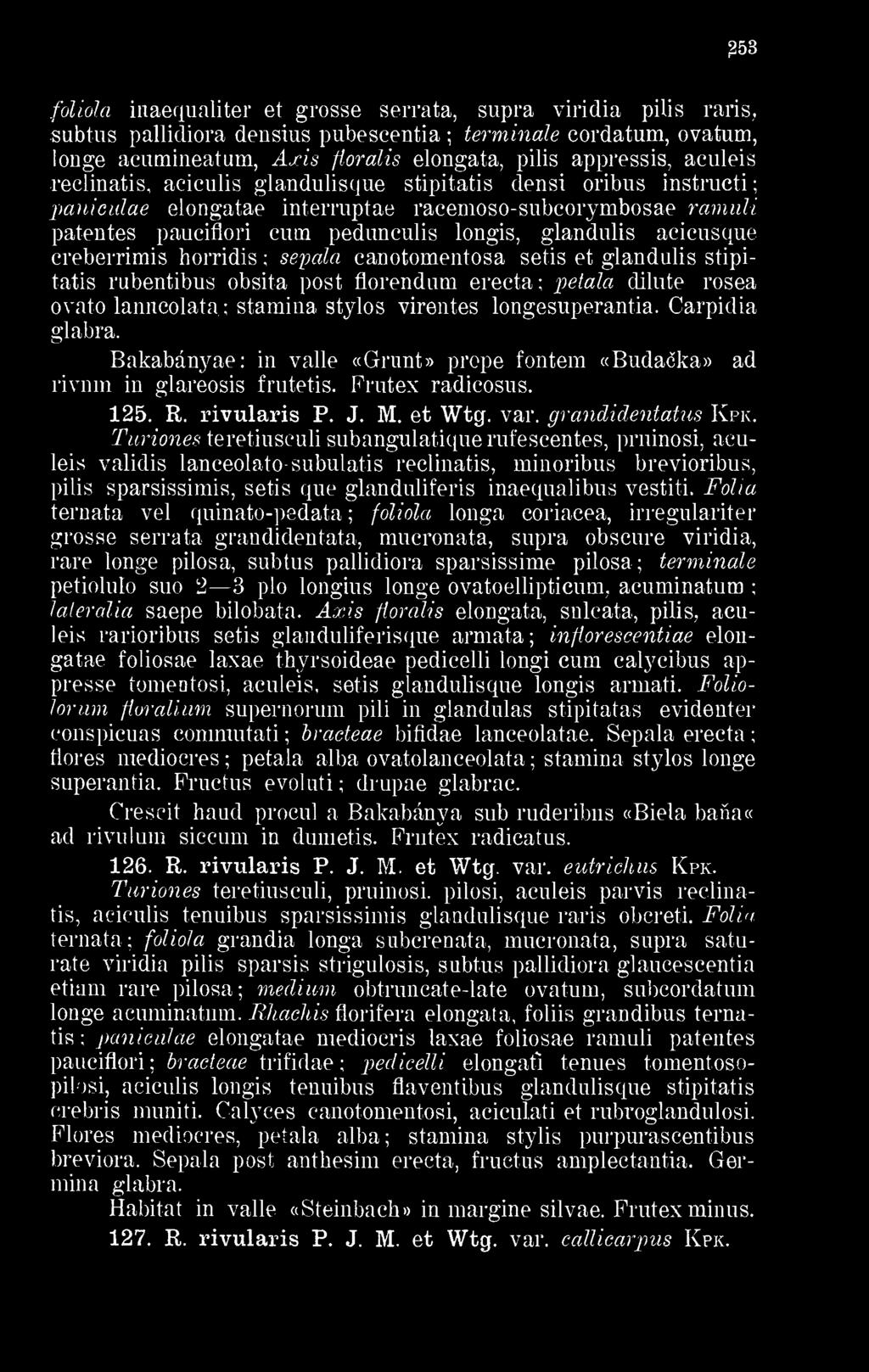 aculeis reclinatis, aciculis glandulisque stipitatis clensi oribus instructi pauiculae elongatae intermptae racemoso-subcorymbosae ramuli patentes pauciflori cum pedunculis longis, glandulis
