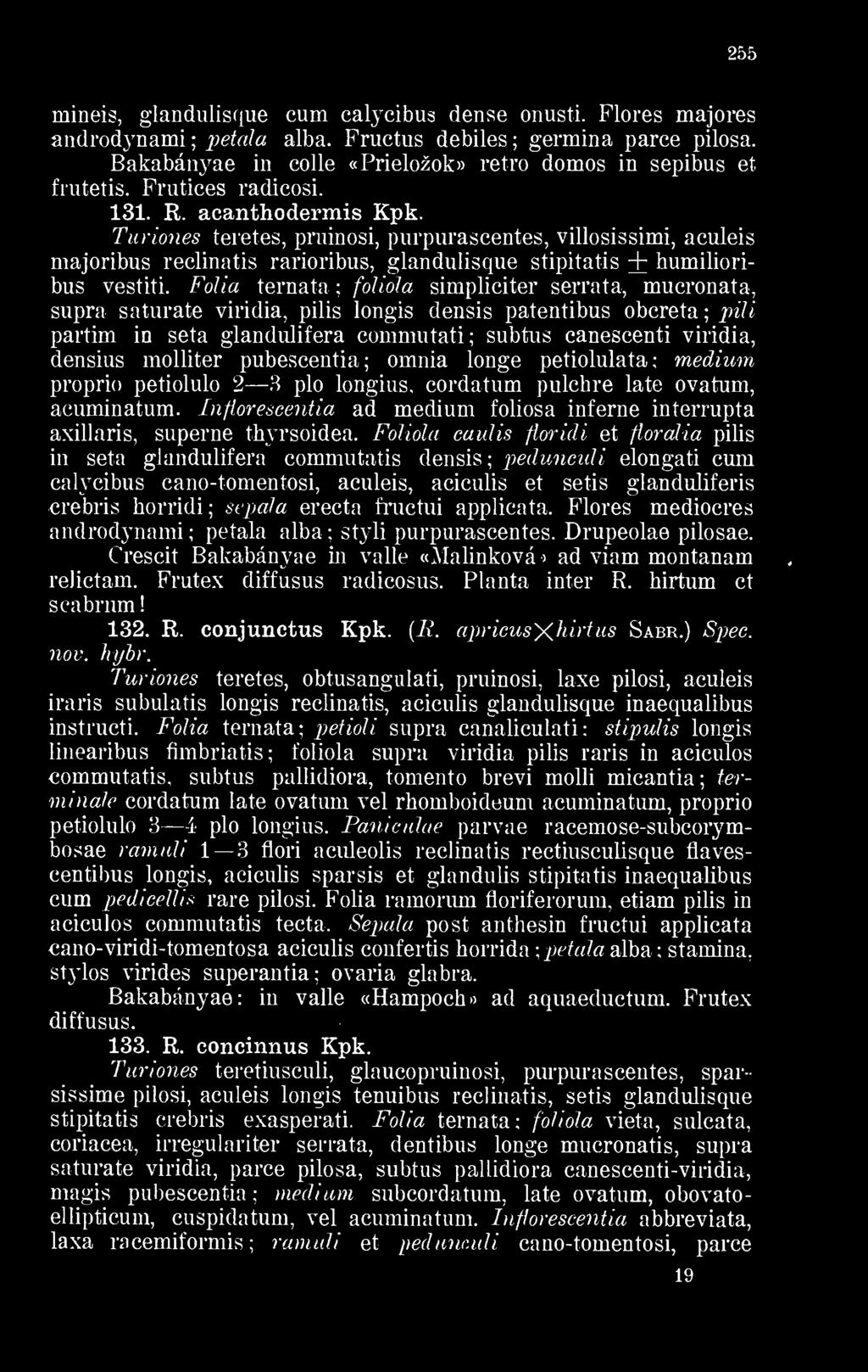 Turiones teretes, pruinosi, purpurascentes, villosissimi, aculeis majoribus reclinatis rarioribus, glandulisque stipitatis + humilioribus vestiti.