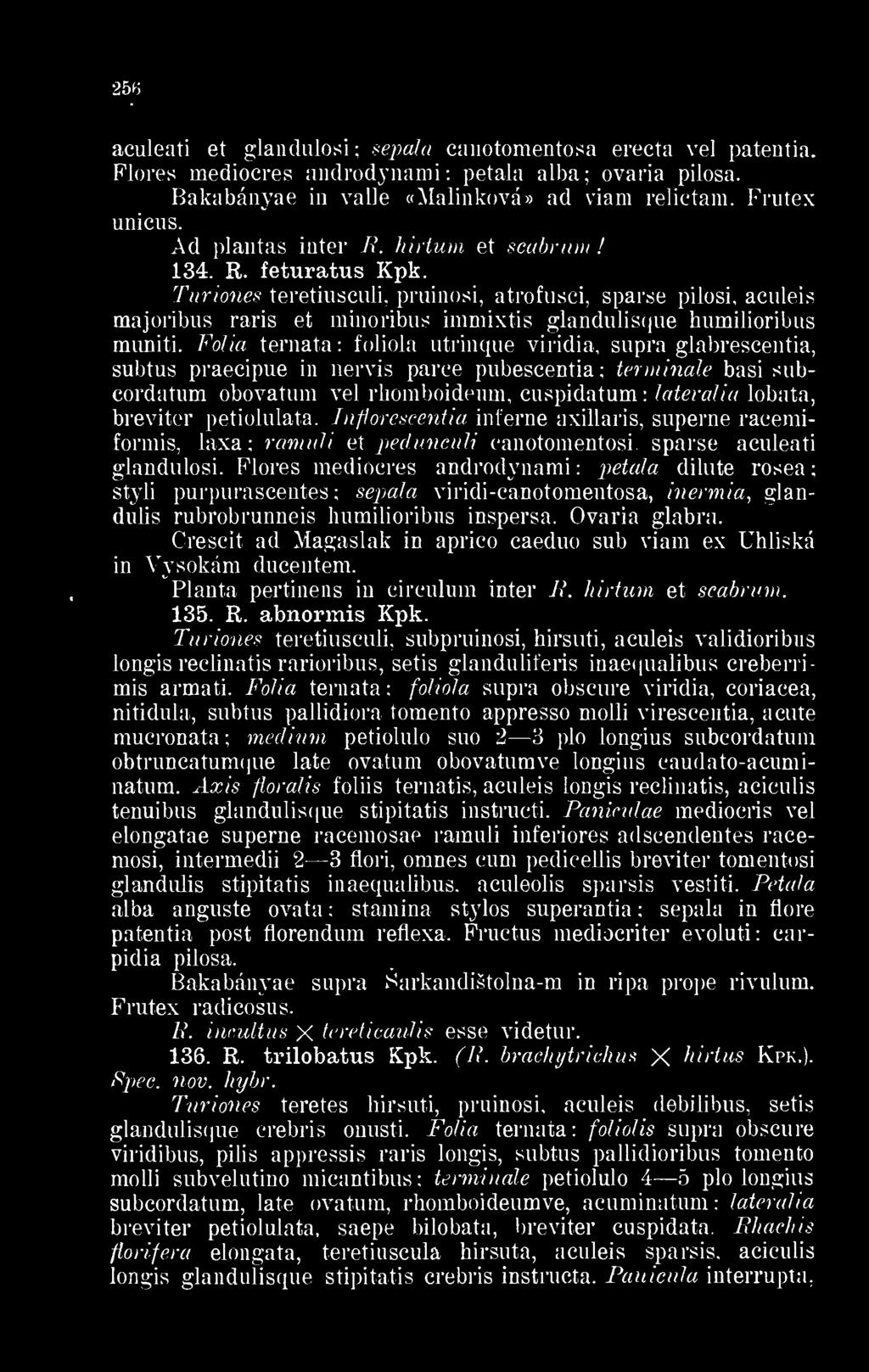Turiones teretiusculi, pruinosi, atrofusci, sparse pilosi, aculeis majoribus raris et minoribus immixtis glandulisque humilioribus muniti.