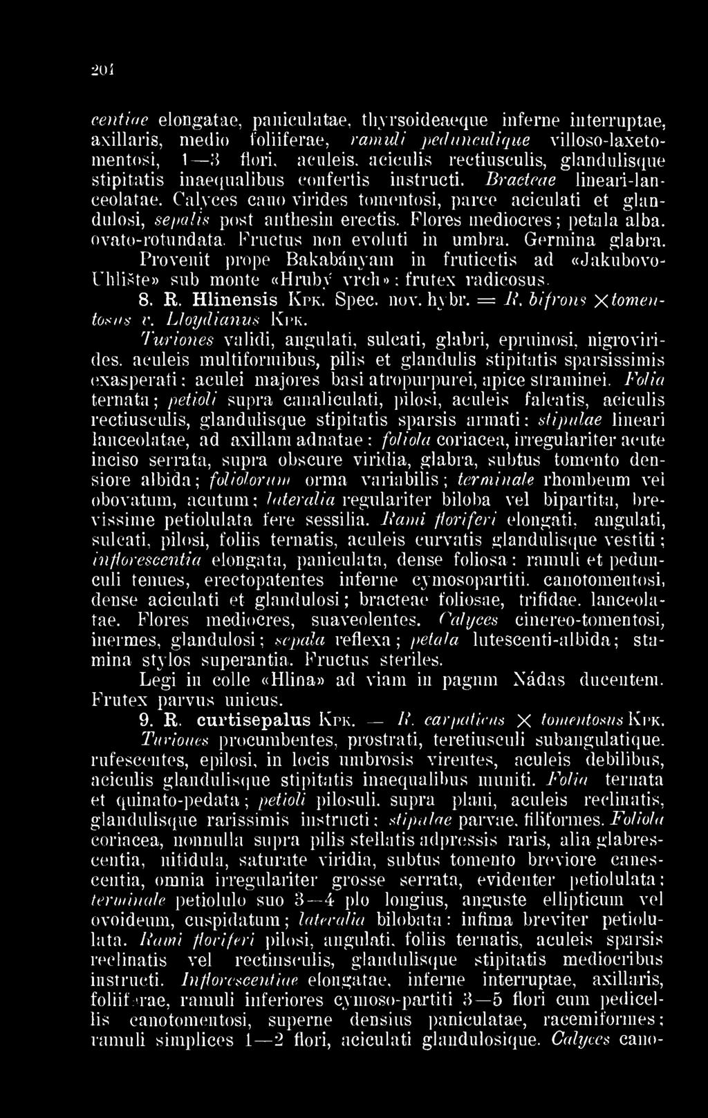 stipitatis inaequalibus eonfertis instructi. Bracteae lineari-lanceolatae. Calyces cano virides toraentosi, parce aciculati et glandulosi, sepalis post anthesin erectis. Flores mediocres petala alba.