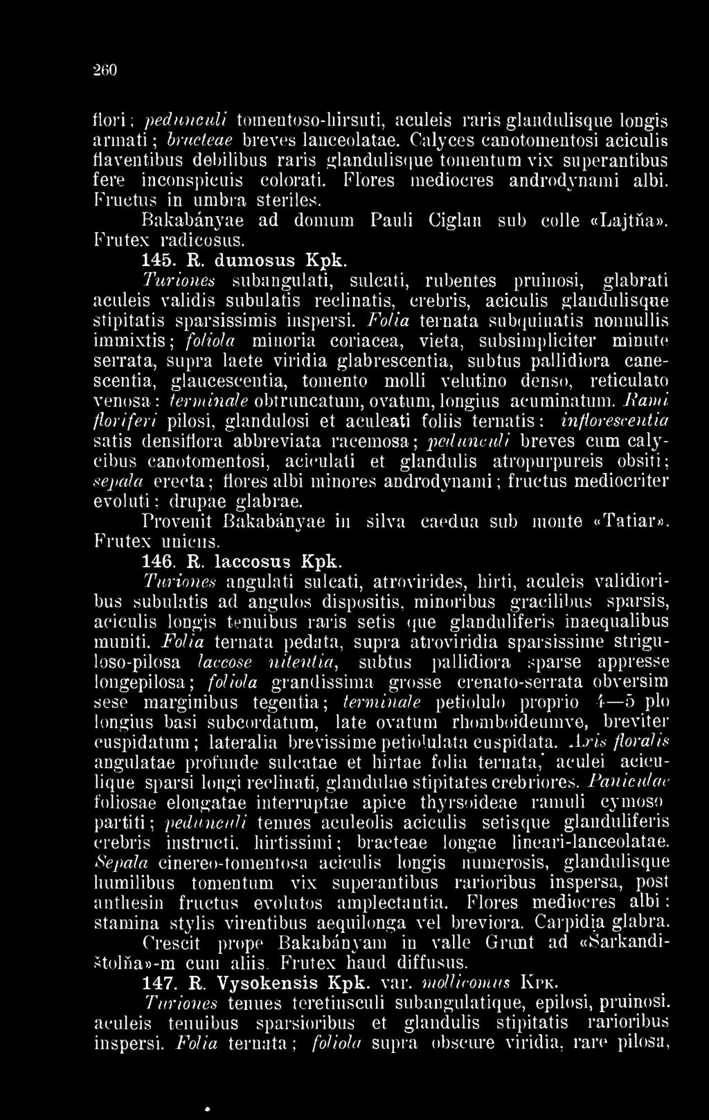 Bakabányae ad donium Pauli Ciglan sub colle «Lajtna». Frutex radicosus. 145. R. dumosus Kpk.