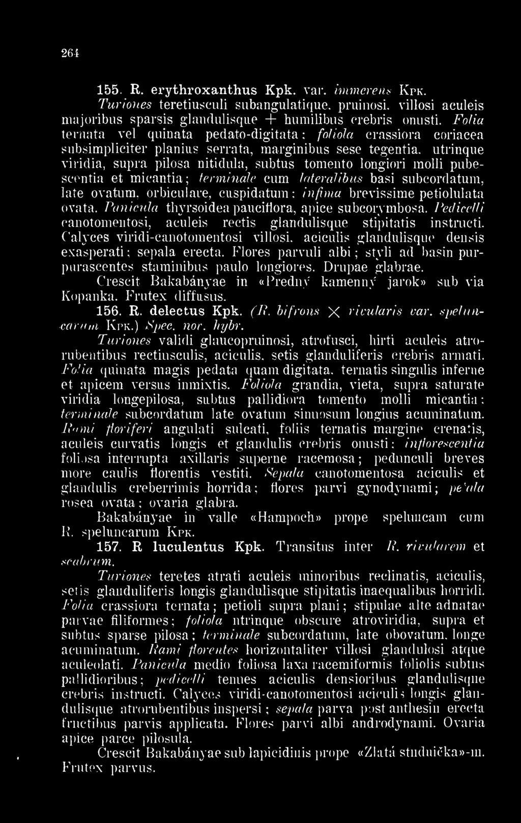 Fólia ternata vei quinata pedato-digitata foliola crassiora coriacea subsimpliciter planius serrata, marginibus sese tegentia.
