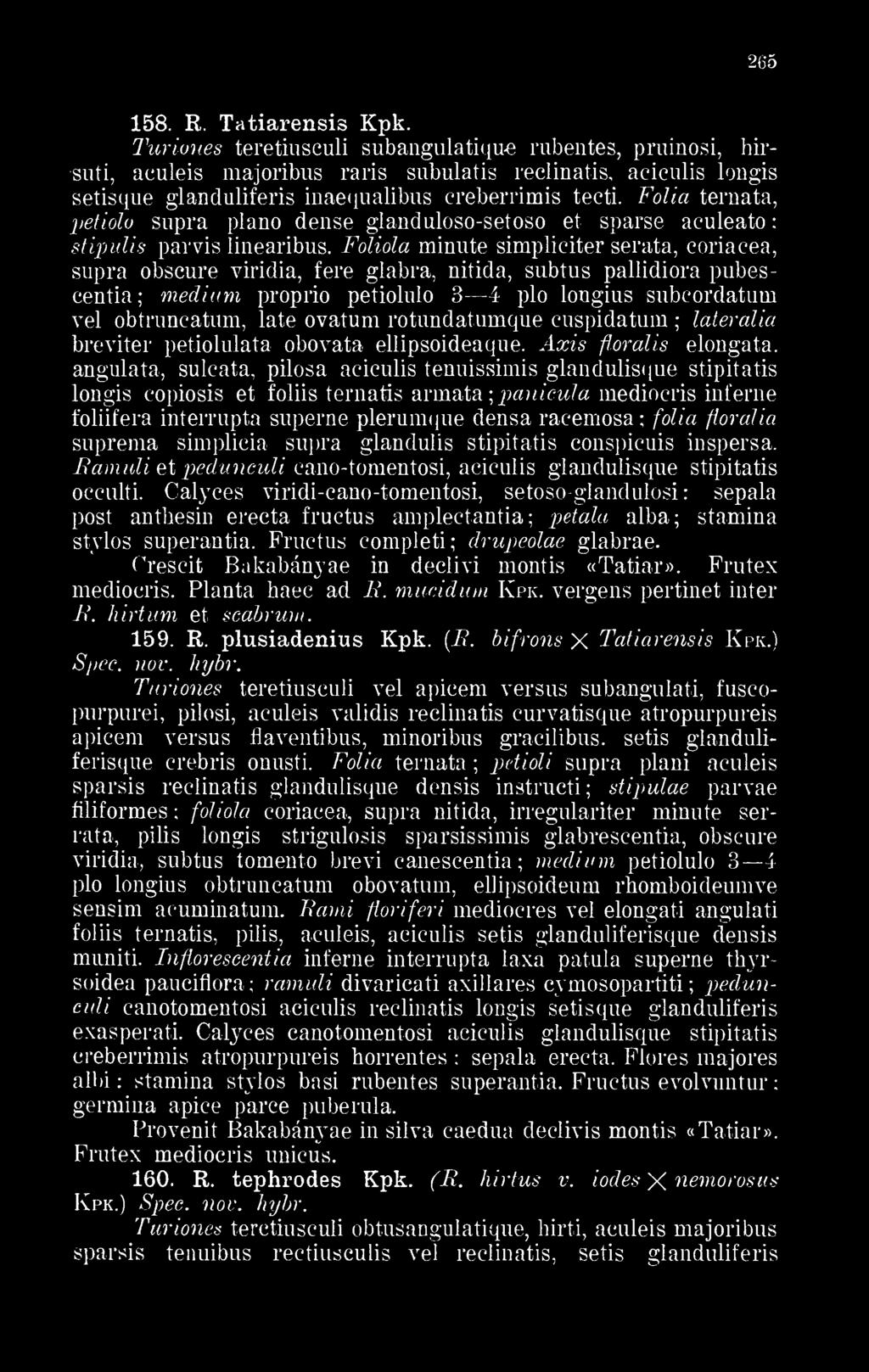 Fólia ternata, petiolo supra piano dense glanduloso-setoso et sparse aeuleato stipulis parvis linearibús.