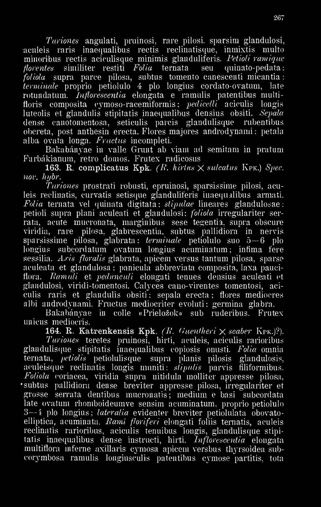 Petioli ramique fiorentes similiter restiti Fólia ternata seu quinato-pedata foliola supra parce pilosa, subtus tomento canescenti micantia terminálé proprio petiolulo 4 plo longius cordato-ovatum,