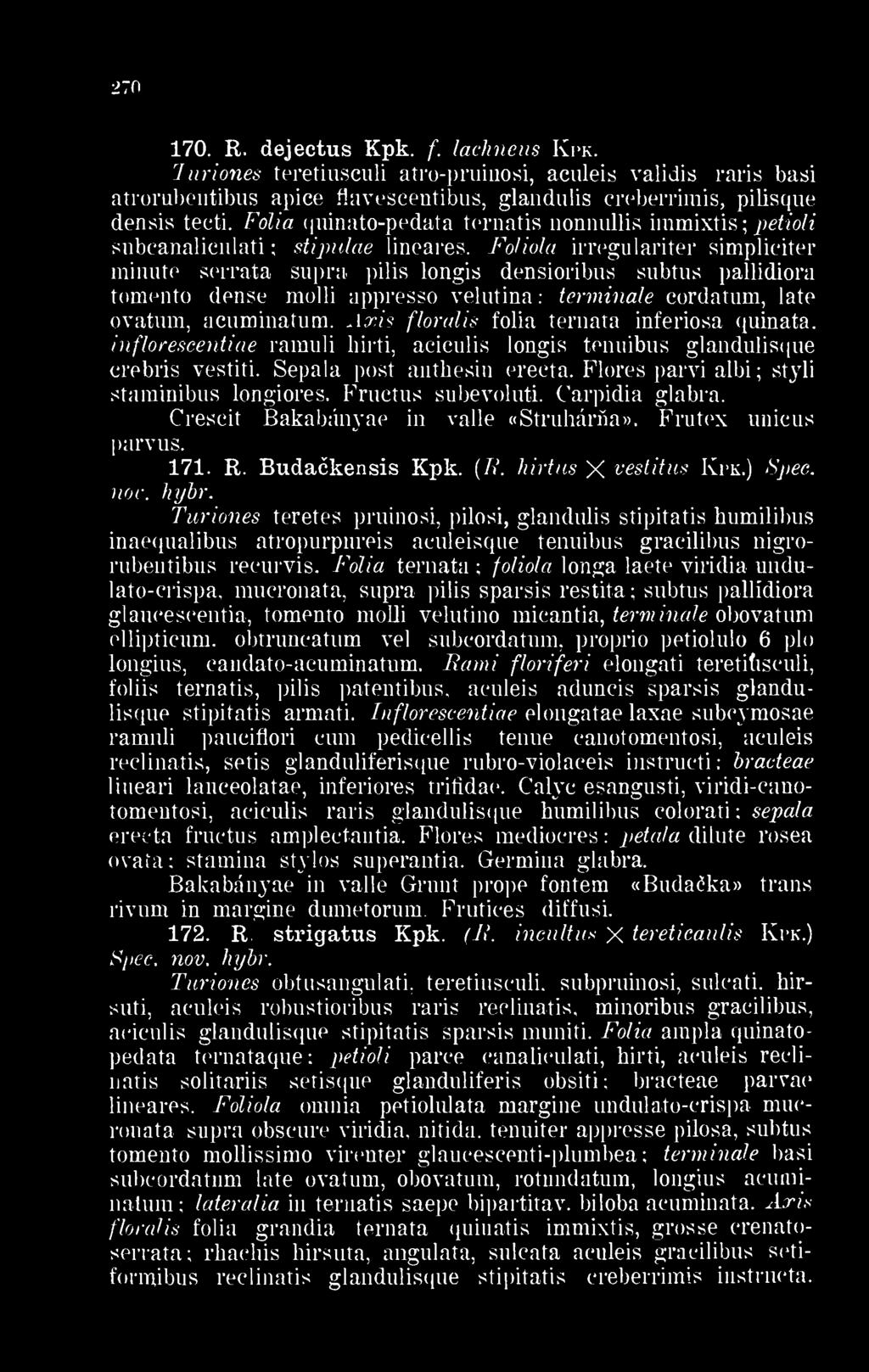 Fólia quinato-pedata ternatis nonnullis immixtis petioli subcanaliculati stipulae lineares.