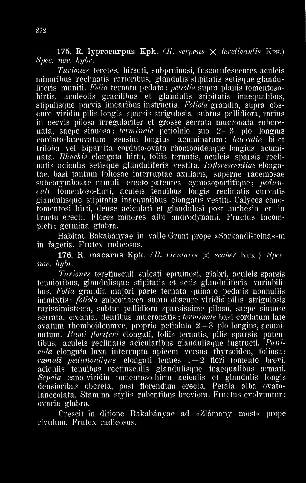 Fólia ternata pedata petiolis supra planis tomentosohirtis, aculeolis gracilibus et glandulis stipitatis inaequalibus, stipulisque parvis iinearibus instructis.