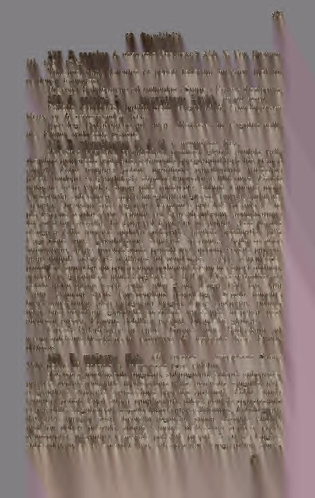 Biodiversity Heritage Library, http://www.biodiversitylibrary.org/ www.zobodat.at 12. Corylifolii. 177. R. caesius L. dunensis Noeldeke? Abh. N. Ver. Bremen. III. 139. (1872.