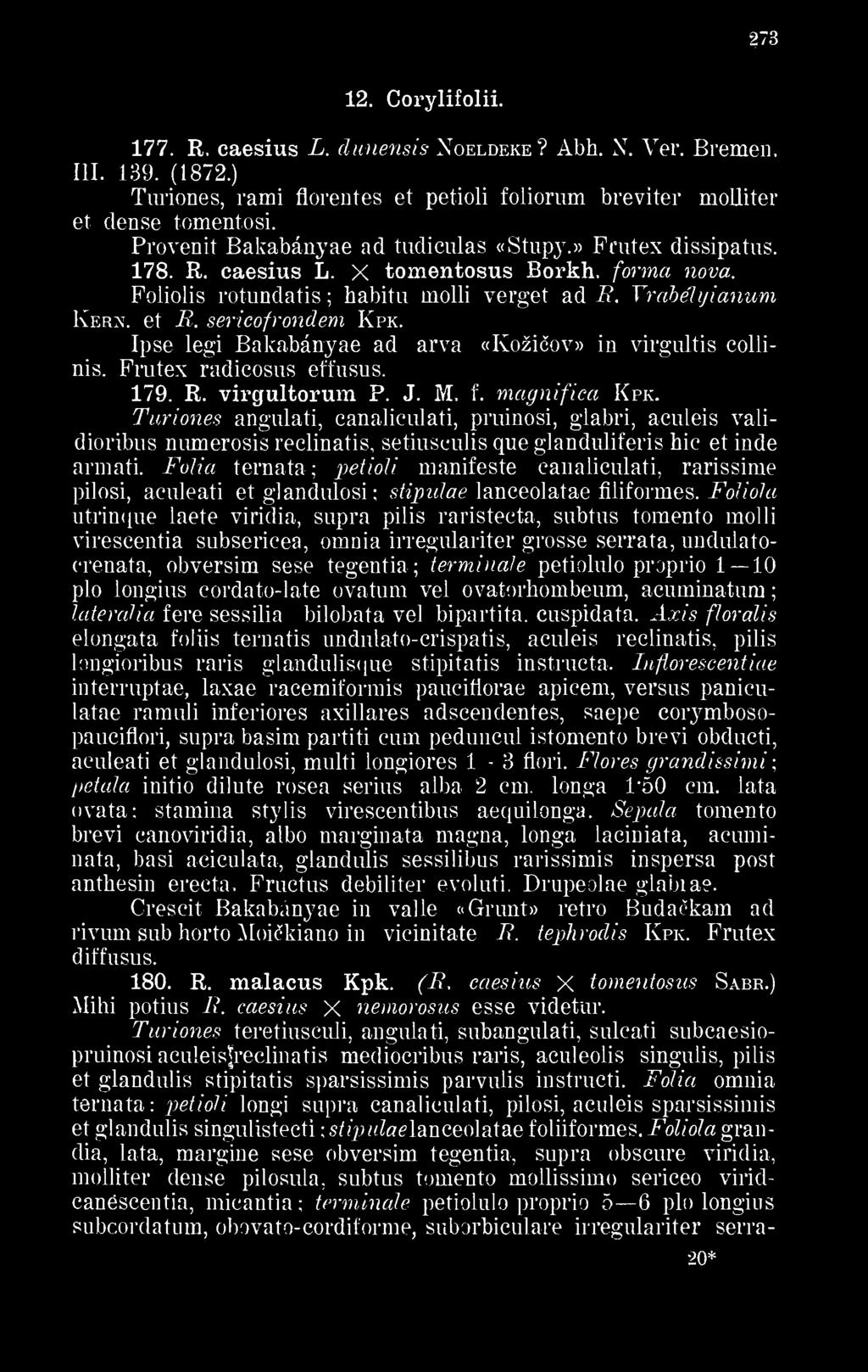 Poliolis rotundatis habitu molli verget ad R. Yrabélyianum Kern. et R. sericofrondem Kpk. Ipse légi Bakabányae ad arva «Kozicov» in virgultis collinis. Frutex radicosus efl'usus. 179. R. virgultorum P.