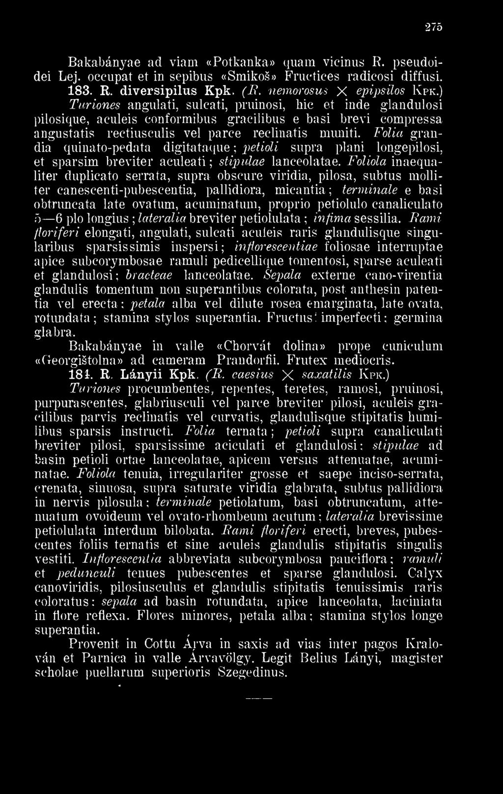 ) Turiones angulati, sulcati, pruinosi, bic et inde glandulosi pilosique, aculeis conformibus gracilibus e basi brevi compressa angustatis rectiusculis vei parce reclinatis mirniti.