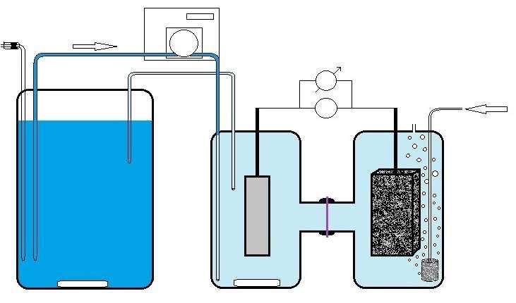 Az eoelektrogén anyagcsere A sejten kívüli elektrontranszport lehetséges kémiai mediátorokkal (pl. AQ, piocianin).