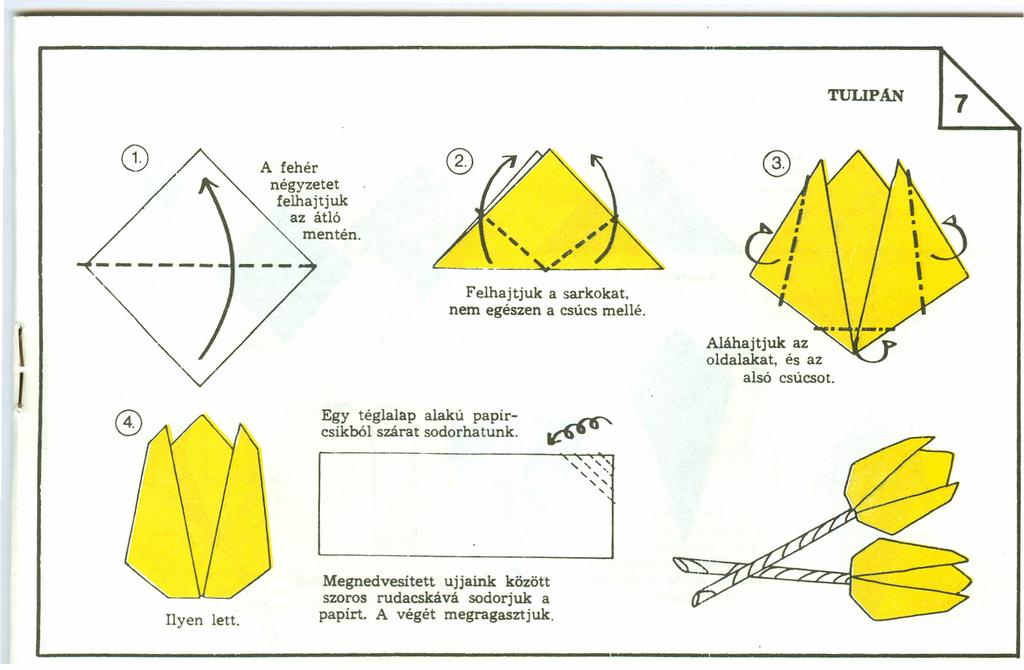 TULPAN A fehér négyzetet felhajt juk az átló mentén. \ J Egy téglalap alakú papírcsíkból szárat sodorhatunk. Felhajt juk a sarkokat.