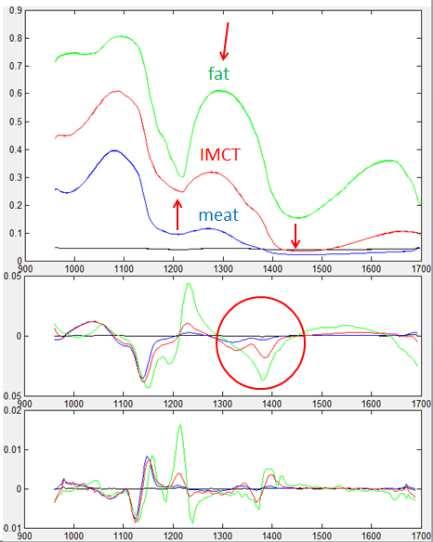 ezért az első derivált (1229,24nm - 1382,62nm) alapján állította elő a tarja és karaj hiperspektrális mérésekből az optimális