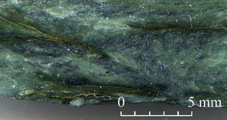 SZERPENTINIT Monomineralikus (szerpentinásványok, elsősorban antigorit), de előfordul Ca-piroxén, olivin reliktumok, ortopiroxén pszeudomorfózák, tremolit-aktinolit Nem nagynyomású körülmények között