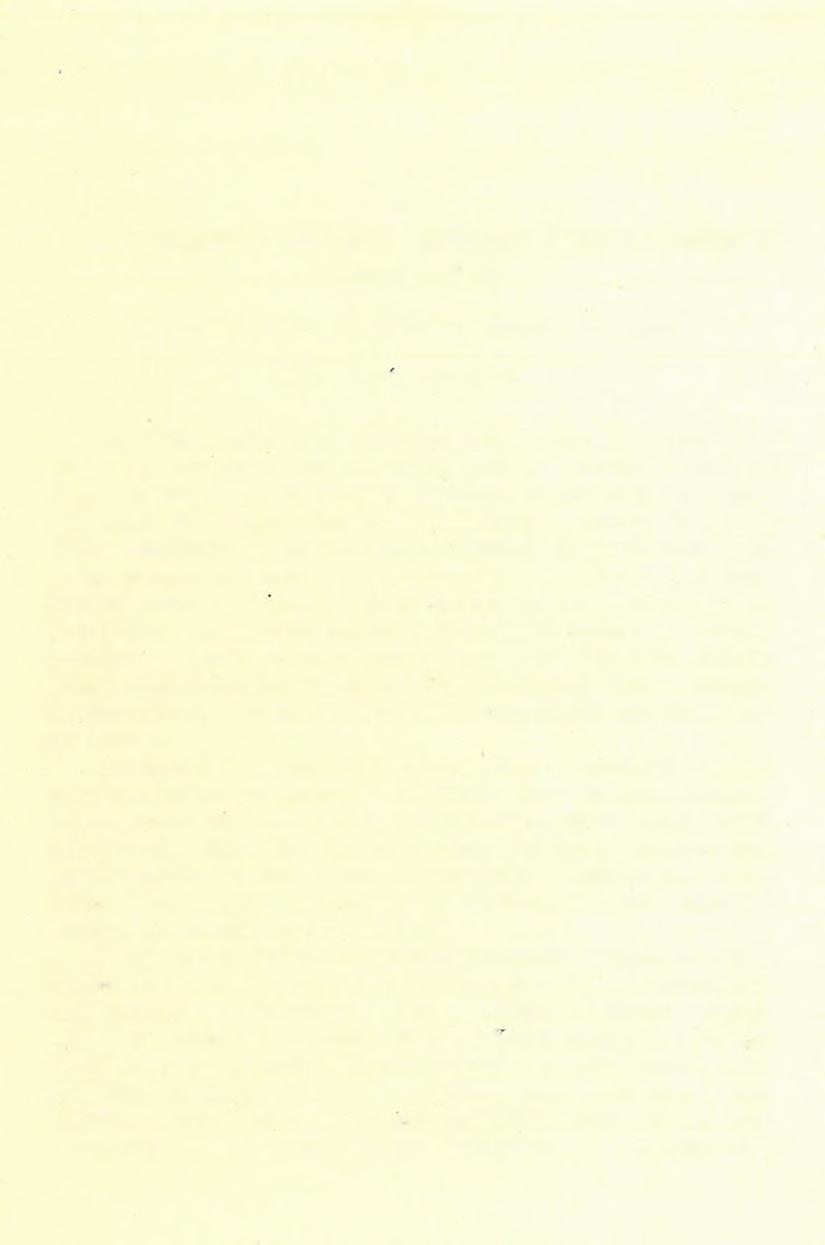 9. A Feketekőrös völgyének geológiai viszonyai Vaskoh és Belényes között. Jelentés az 1905. évi részletes geológiai felvételről.) Dl\ K adic OTTOKÁR-tÓl.