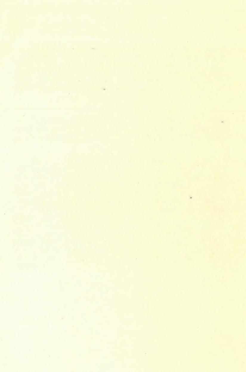 (S) FÖLVÉTELI JELENTÉS. 103 6. Alluvilim. Ide főképen a Feketekörös és a Galbina ártere tartozik.