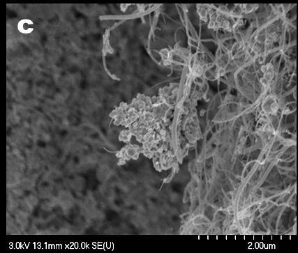ammónium paravolframát) alakul ki, mely bomlási hőmérsékleténél (600 C-nál) magasabb hőmérsékleten képes volfrám-trioxiddá átalakulni. 25.
