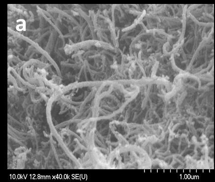 Eredmények A gyors hidrolízissel kombinált impregnálás másik módszerénél a prekurzor-oldat folyamatos kevertetés mellett lett hozzácsepegtetve a szén nanocső
