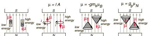 ( ) KÉT nyalábút -> KÉTFÉLE dipólus orientáció Giromágneses faktor (random beállás folytonos képet adna) Az elektronnak és a magnak saját Min energia Max energia Min