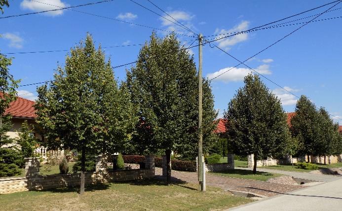 terhelt lakóutcák és a gyönyörű