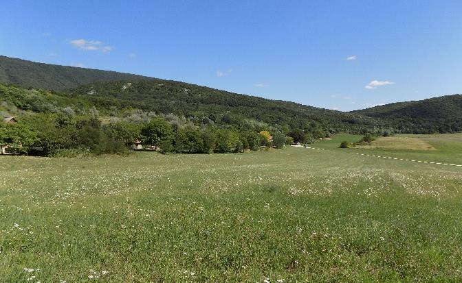 Nem szabad továbbá megfeledkezni a fasorok árnyékoló,