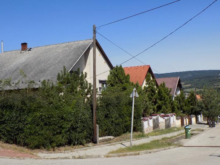 képet mutató utcákban, sajnálatos módon még inkább szembeötlő a fasorok