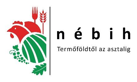 Hálózati