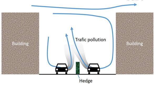2016-2017-II. / 10 Dispersion of traffic pollution in a street canyon in the presence of a hedgerow in the middle of the street The recent wind tunnel experiment of C. Gromke et al.