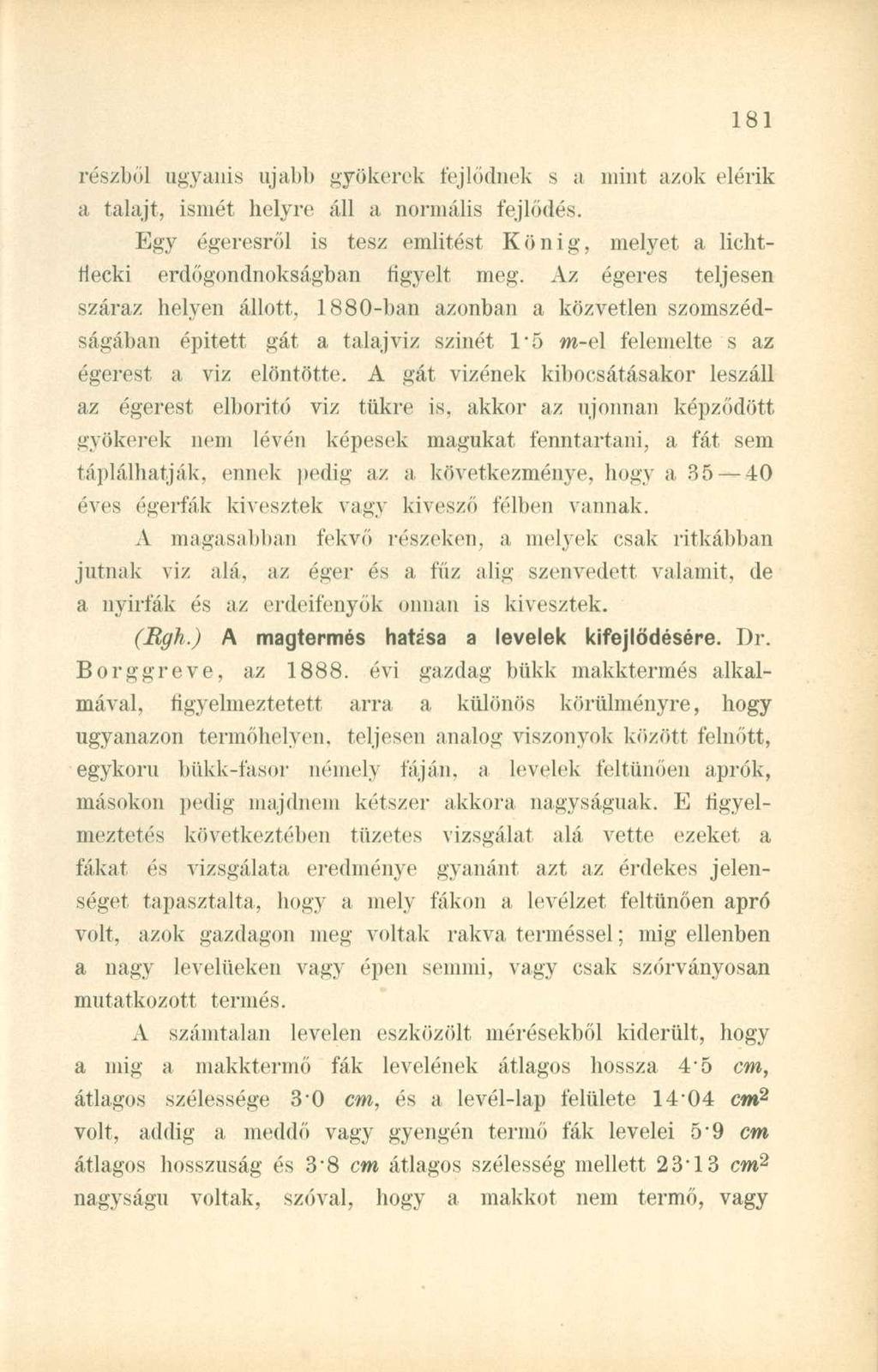 részből ugyanis ujabb gyökerek fejlődnek s a mint azok elérik a talajt, ismét helyre áll a normális fejlődés. Egy égeresről is tesz említést König, melyet a licht- Hecki erdőgondnokságban ügyelt meg.