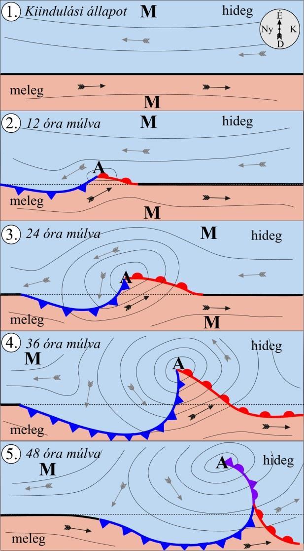 Mérsékelt övi ciklon-keletkezés fő lépései: 1. Stacionárius front nagy hőmérséklet gradienssel 2. Frontális hullám, kis amplitúdójú hullám jelenik meg, mélyülő alacsony nyomású központtal 3.