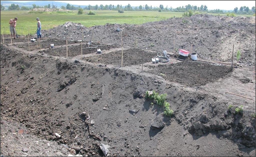 A környezetéből 3 m-re kiemelt prizmán 6 db 4x2,5 m-es kísérleti parcella került kialakításra (1. ábra), amelyeket 2006. tavaszán vetettünk be hat különböző kísérleti növénnyel.