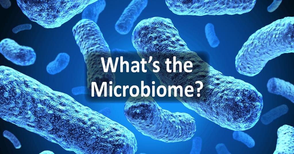 Probio=cs will be to medicine in the 21st century what an=bio=cs and microbiology were in the 20th (Dr. Michael L.