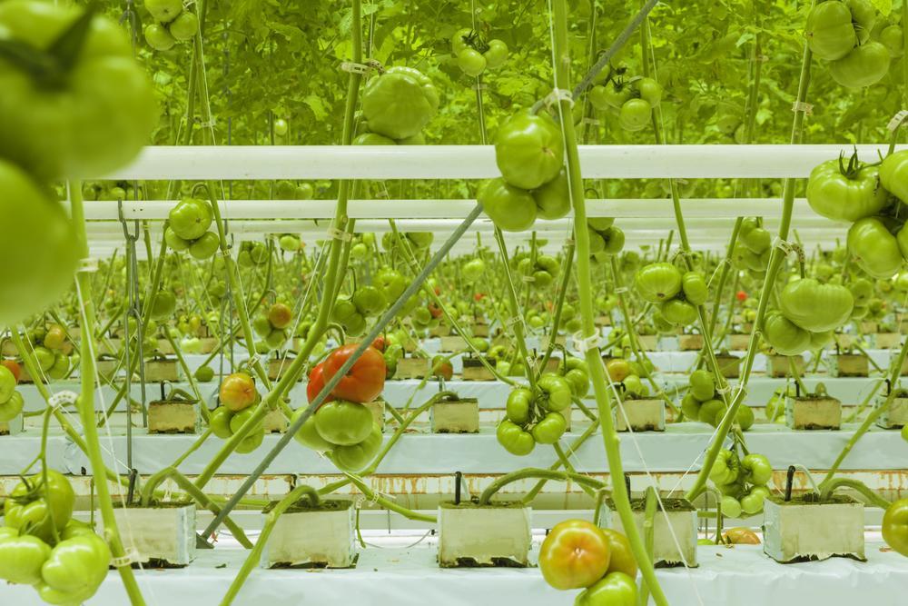 15:00 15:15 Az Eurofins Agroscience Services Kft.